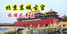 白嫩骚骚的熟女中国北京-东城古宫旅游风景区